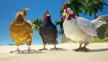3_fresh_hens.png