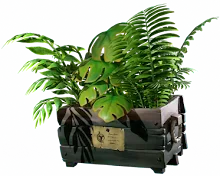 Crate_of_Plants.png