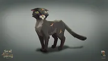 Cat_Concept.png