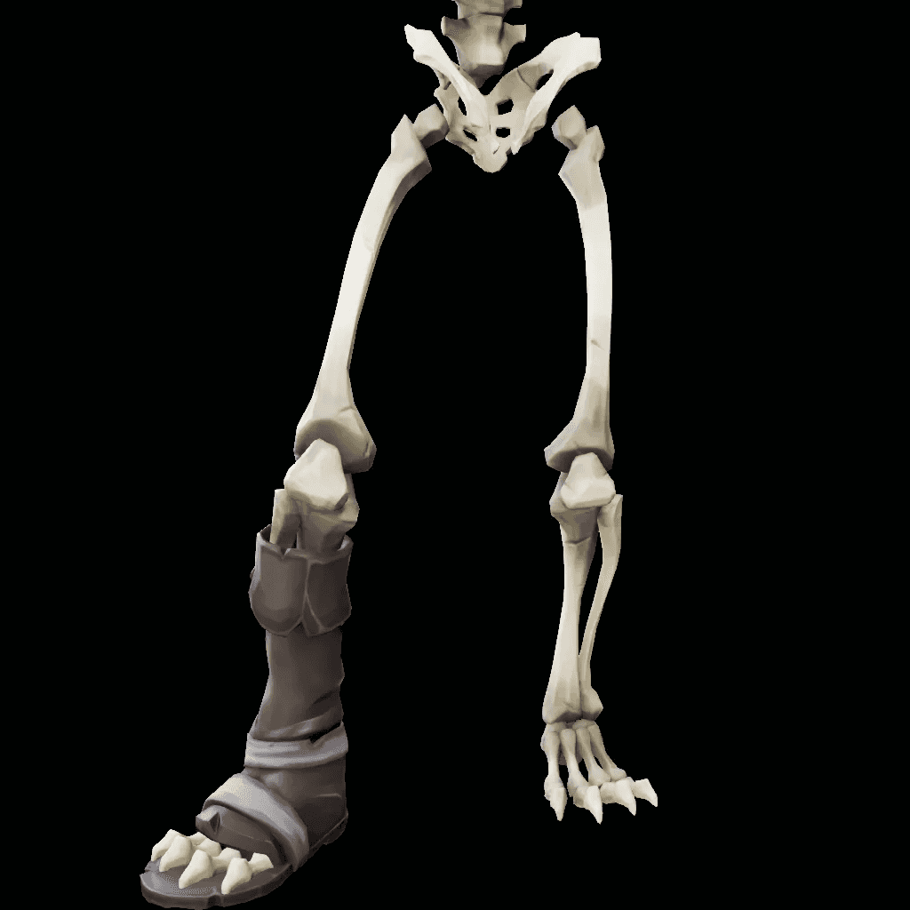 Legs