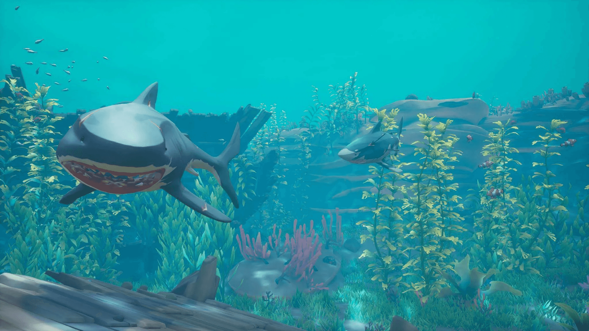 Sharks