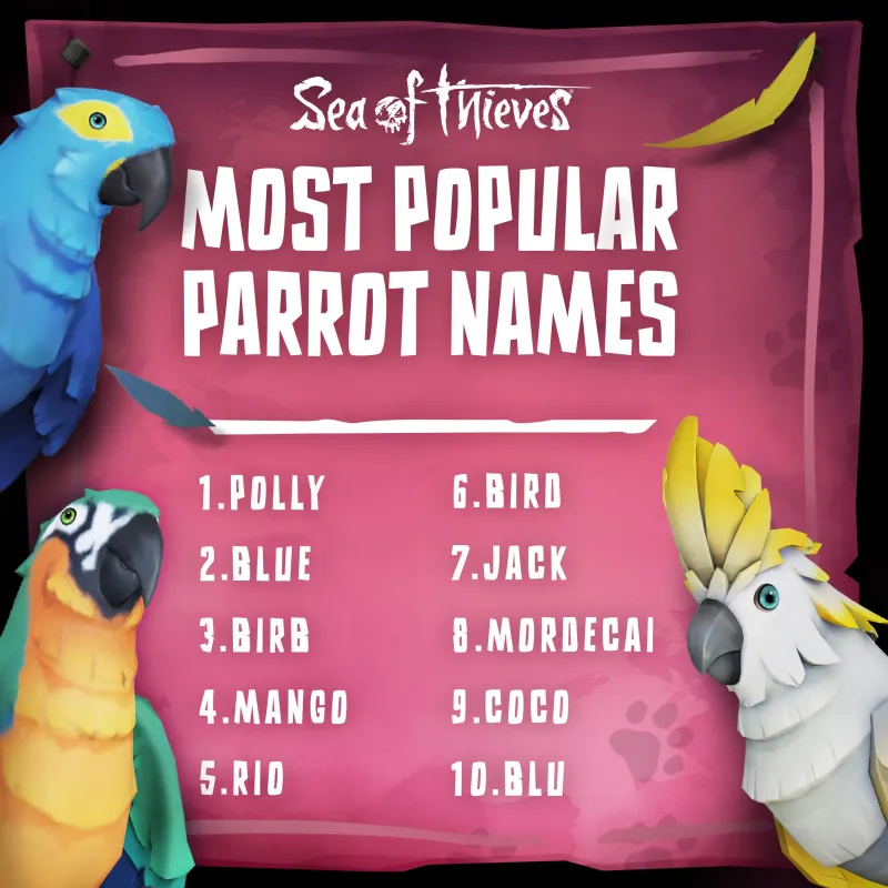 Asset pack promo image for Popular Pet Names