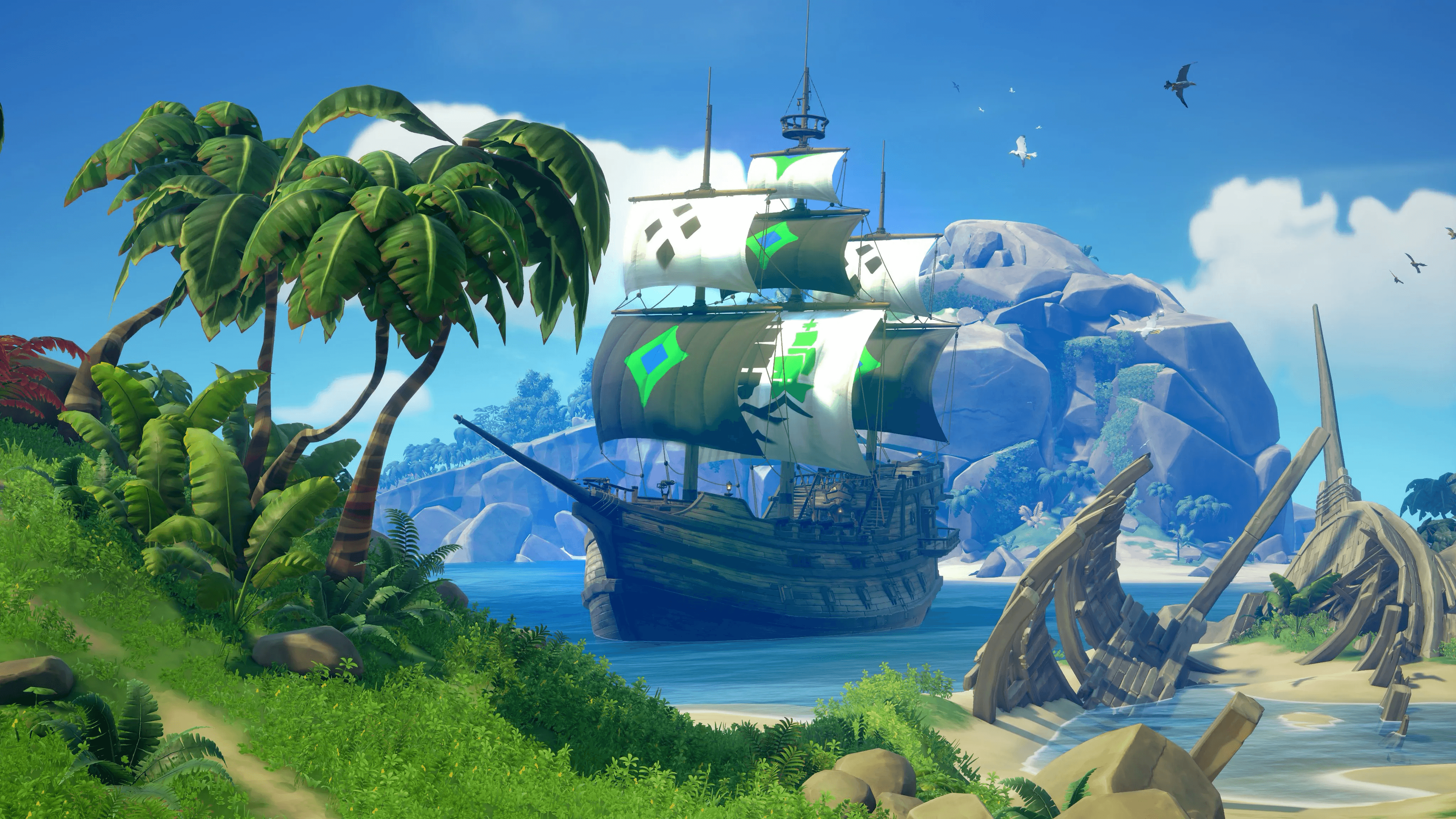 New Dawn Sails