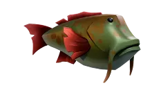 Fish_Russet_Wildsplash.png