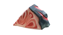 Shark_Meat.png