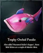 Trophy_Orchid_Pondie.png