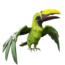 Treetop_Toucan.png