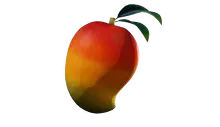 Mango.png