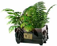 Crate_of_Plants.png