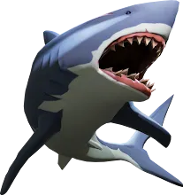 Shark.png