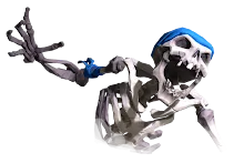 skelly_03.png