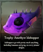 Trophy_Amethyst_Islehopper.png