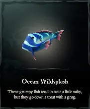 Ocean_Wildsplash.png