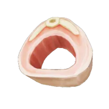 Snake_(meat).png