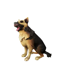 Saddleback_Alsatian.png