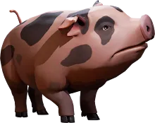 Pig.png