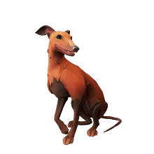 Redback_Whippet.png