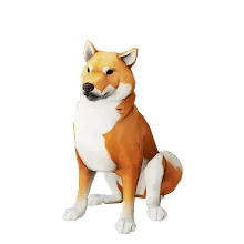 Coral_Inu.png