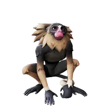 Nightpaw_Marmoset.png