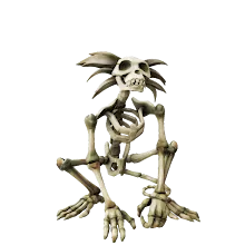 Skeleton_Marmoset.png